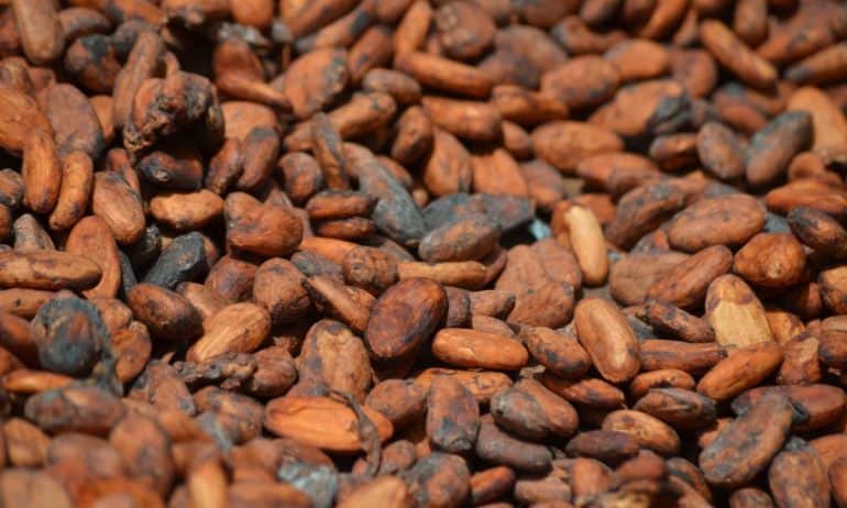 Cocoa producer price increased by 21% per tonne